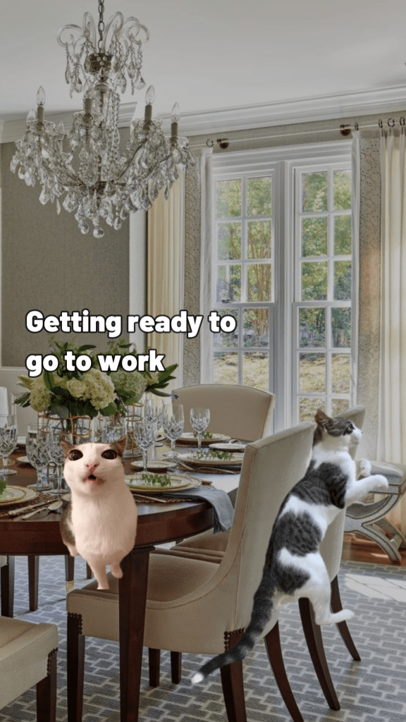 Wheeleasy – Viral Cat Meme Mashup&nbsp;Video